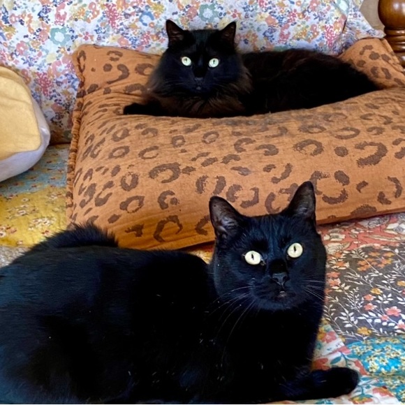 FOLLOW THE JONESES TO 400K! - Picture 12 of 16